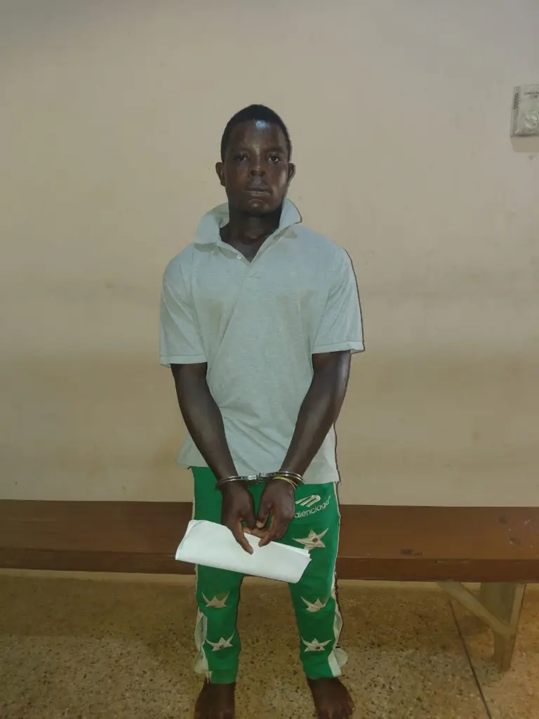 Mason sentenced to 15 years’ imprisonment for defiling a 4-year-old girl