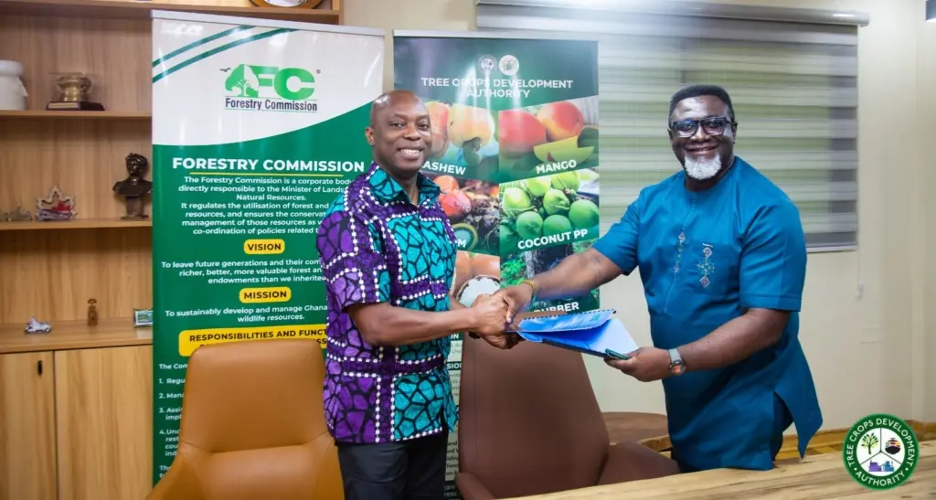 TCDA, Forestry Commission roll out nationwide crackdown on tree crop transport