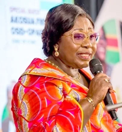 We need enforcement, not new anti-graft laws - Former Chief of Staff asserts