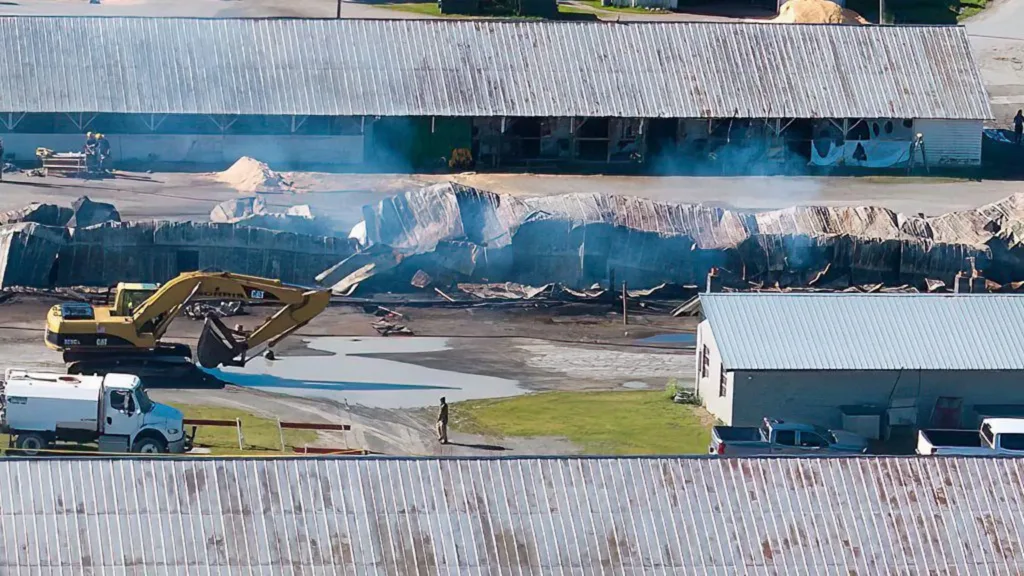 More than a dozen horses killed in New York barn fire
