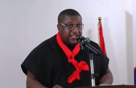 NPP questions Ayine’s handling of Sedina Tamakloe, SSNIT, UniBank cases