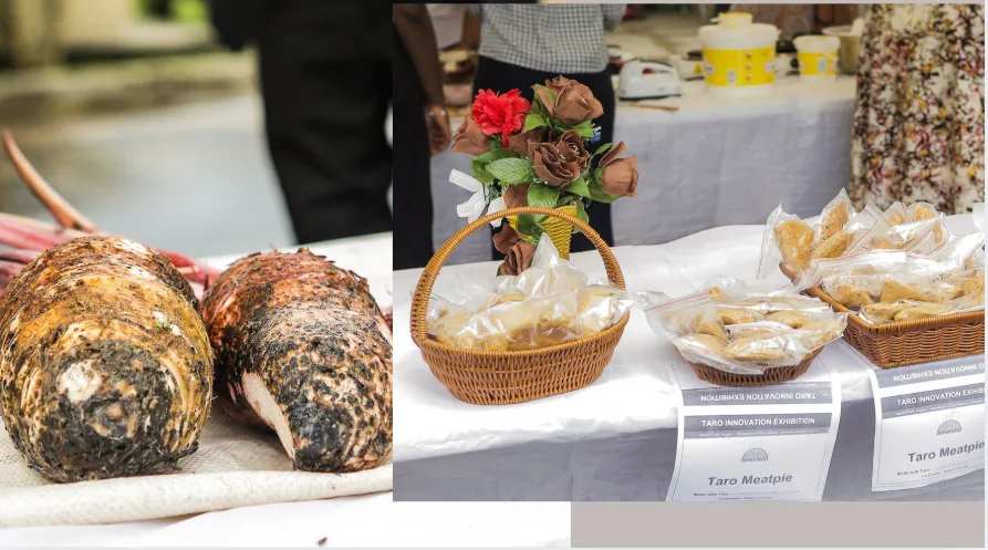 UCC Crop Science Department turns local ‘kooko’ into tasty pastries at Innovation Exhibition