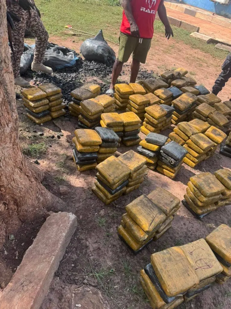‘Aboboyaa’ rider arrested with 397 slabs of cannabis concealed in charcoal bags in Techiman
