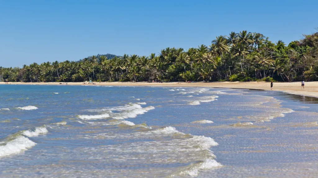 Man killed in shark attack off Australia’s north-east coast
