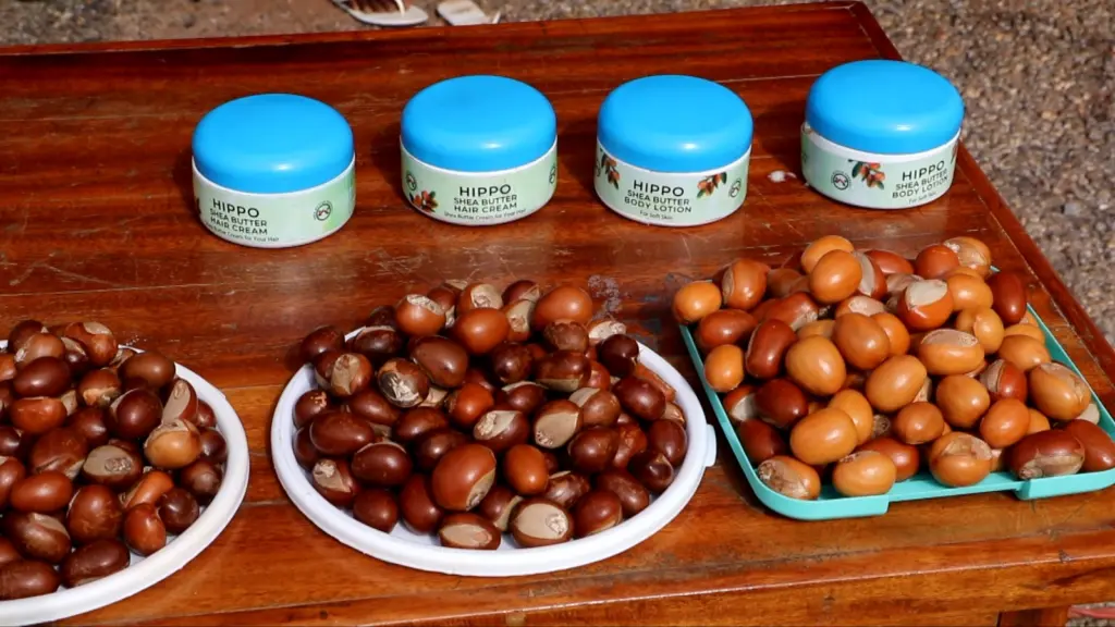 Gov’t launches World Shea Expo 2026 in Upper West