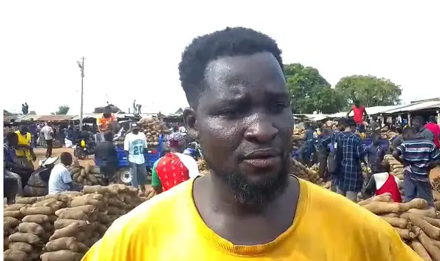 Lanja yam farmers appeal for storage facilities, market infrastructure