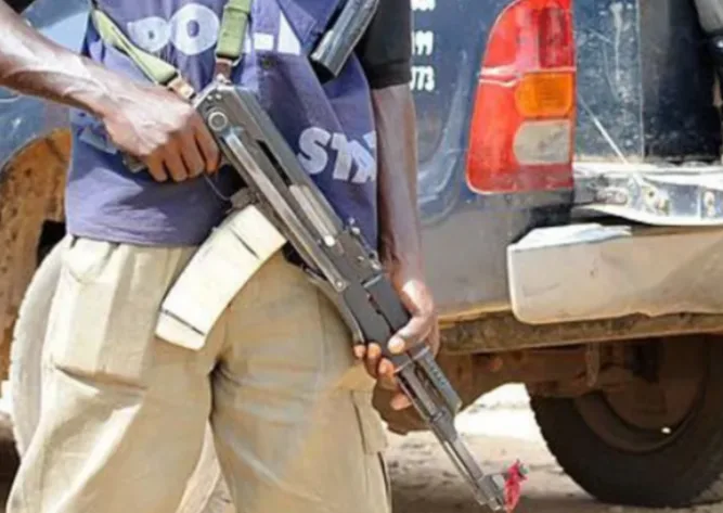 Nigeria: Militants storm school in Borno state, students kidnapped