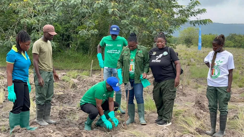 Ecobank Ghana plants 3,800 trees in Chipa Forest to advance environmental sustainability