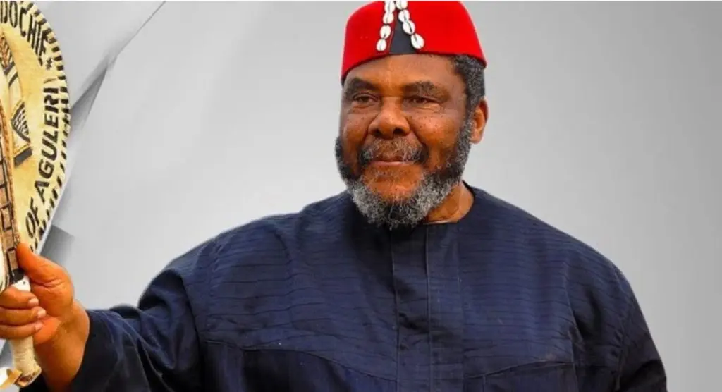 Six politicians I prayed for in 2023 all won their elections – Pete Edochie