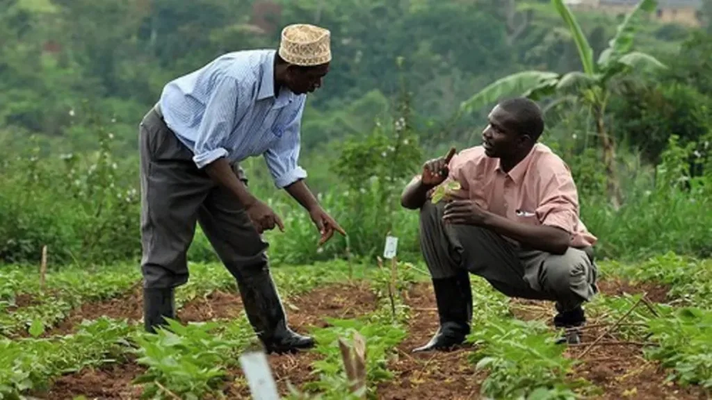 Study reveals agricultural extension agents have low competence in delivering services to farmers with disability