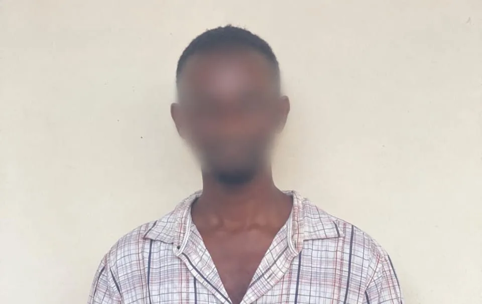 Northern Region: 27-year-old man arrested over provocative TikTok video