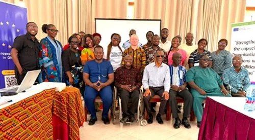 Implementation key to disability inclusion - Federation of Disability Organisations