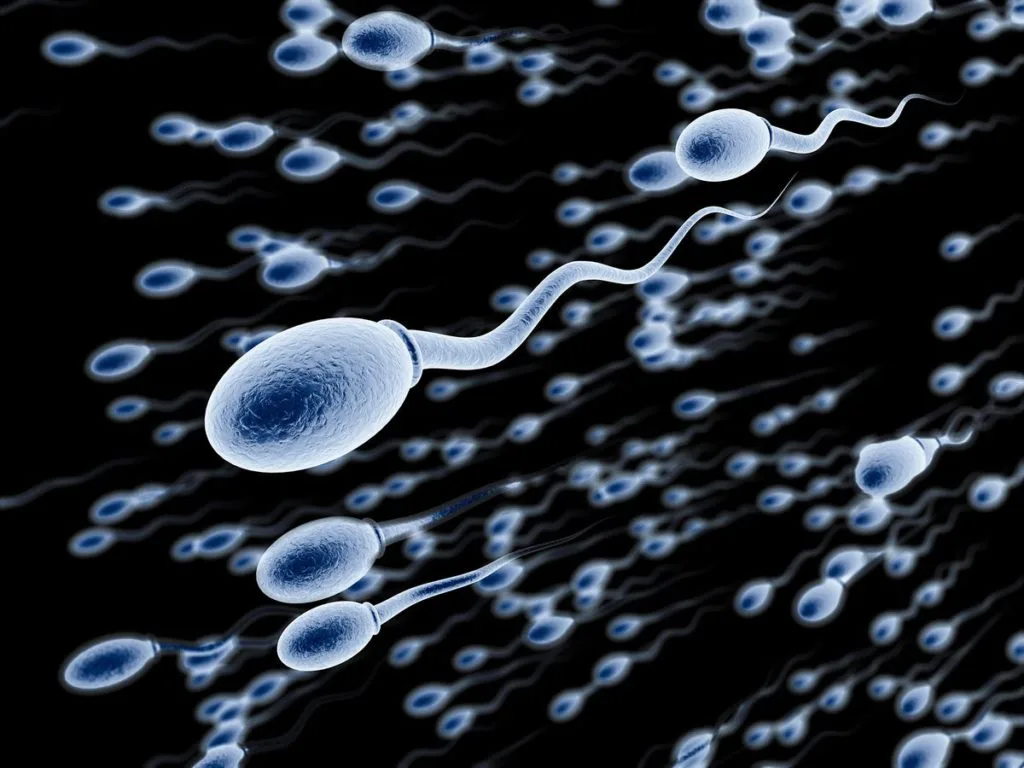 Men now “topping chart” in fertility issues as sperm quality declines – Urologist warns