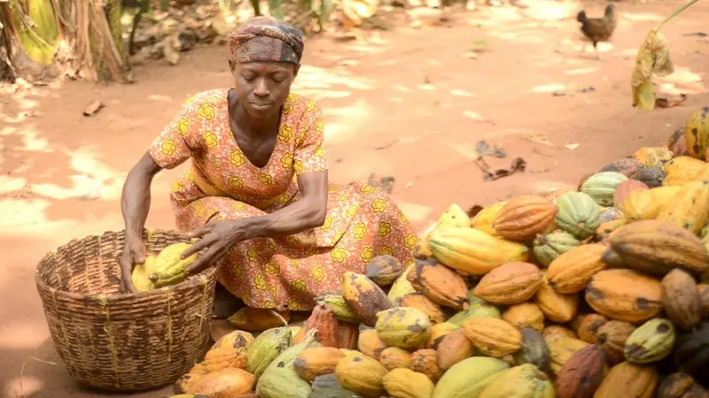 No one wants a one-sided friendship – Ejisu MP compares cocoa farmers’ plight to broken promises [Audio]