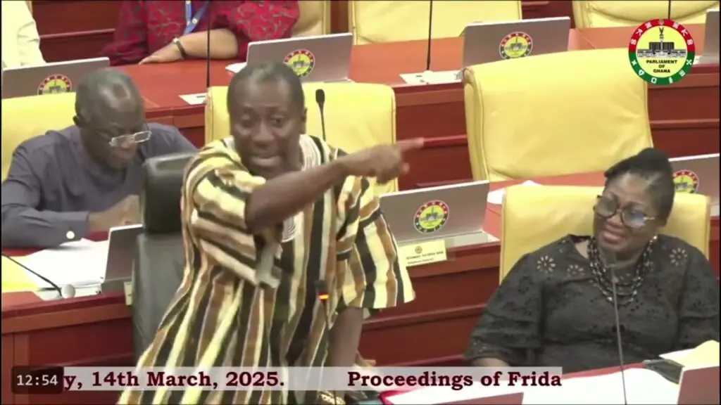 NPP targets 2028 comeback, declares no NDC seat safe