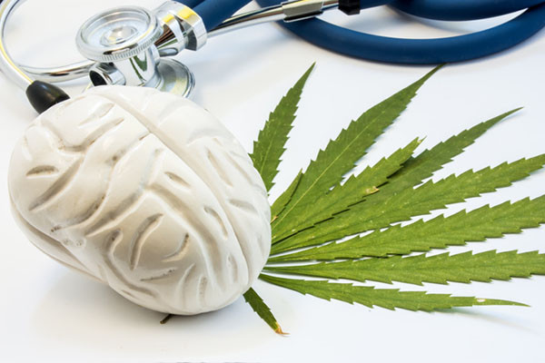 Experts Warn of Marijuana’s Hidden Dangers to the Brain and the Heart