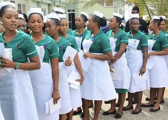 Government Disburses Six-Month Allowance to Nursing Trainees