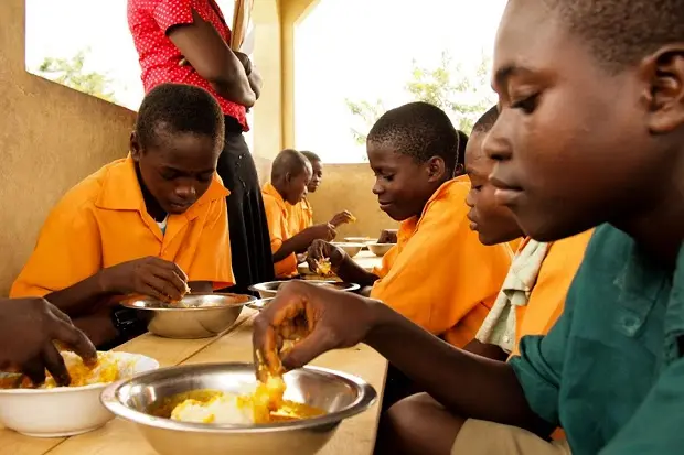 Planned expansion of School Feeding Programme excites National Coordinator